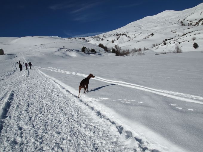 トリノ＆アルプスの山々へ〜ボン先輩の初雪体験2012